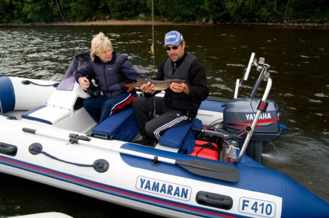 Yamaran S 310 / F 310