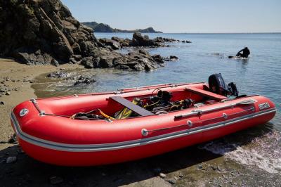 Лодка ПВХ Компас 500 моторная